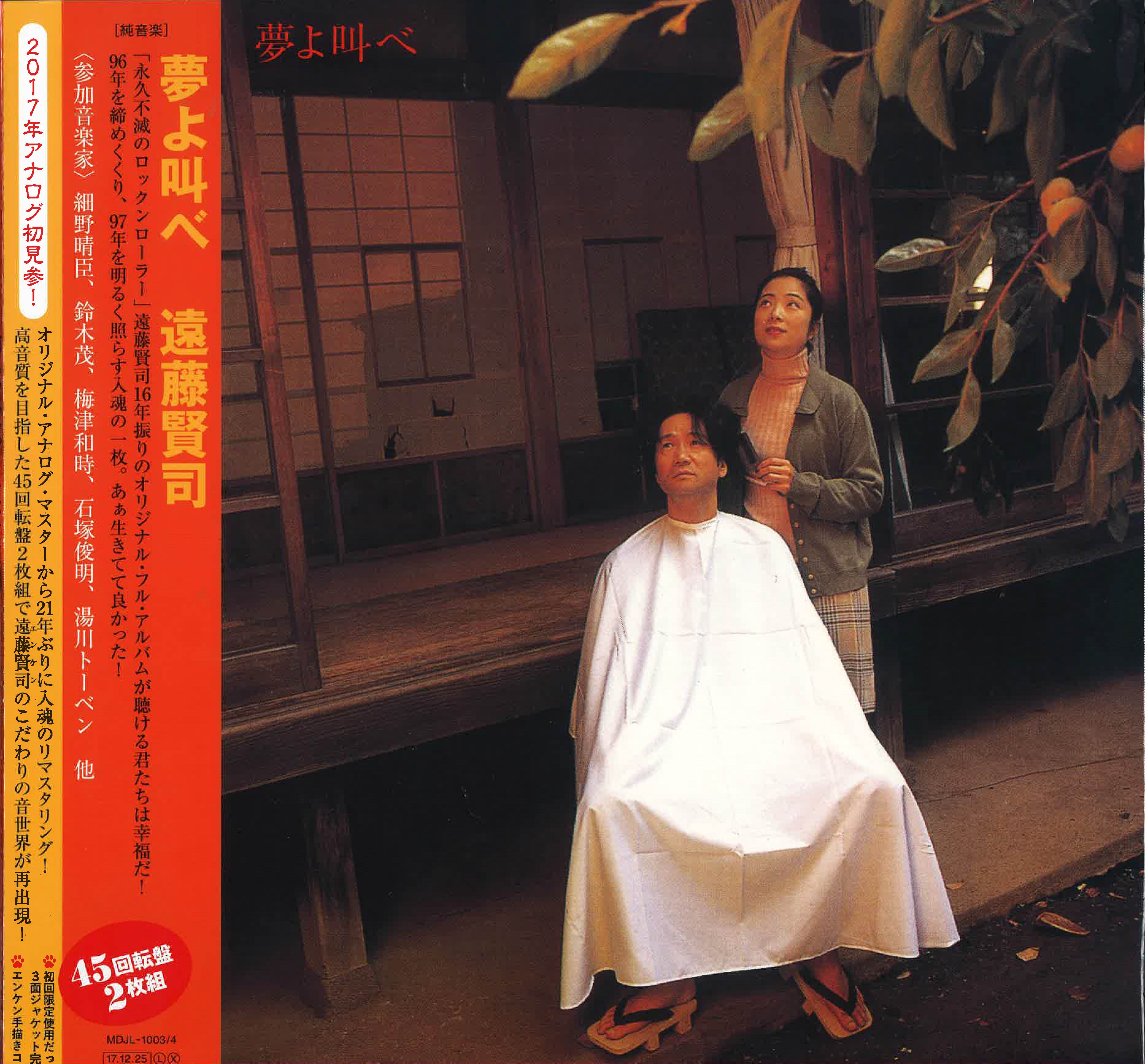 遠藤賢司 (Endo Kenji) - 夢よ叫べ (Japan Ltd.2x12" EP/New)