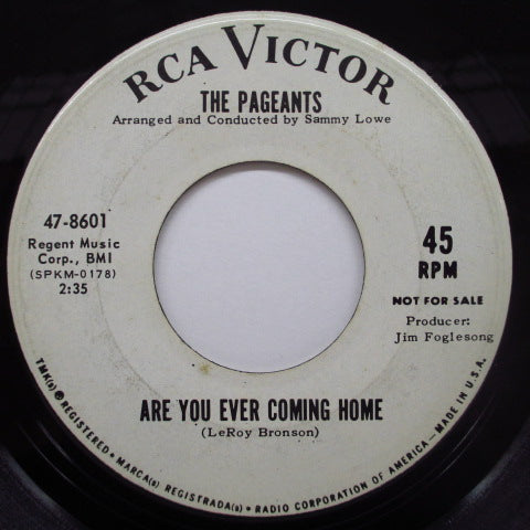 PAGEANTS (ペイジェンツ) - I'm A Victim (Promo)