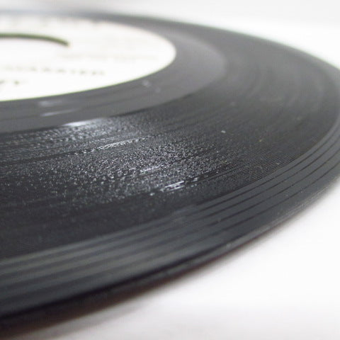 PATRICIA CONLEY & THE ROYAL ROBINS - We're Gonna Get Married