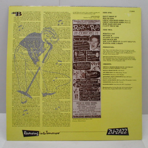 JERRY LEE LEWIS - Don't Drop It!:Unissued Sun Sessions Vol.2 (UK Orig.LP)