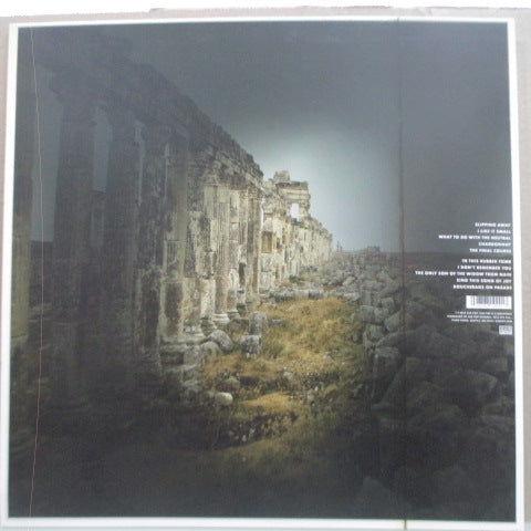 MUDHONEY (マッドハニー) Vanishing Point (EU オリジナル LP+インナー/Embossed CVR)