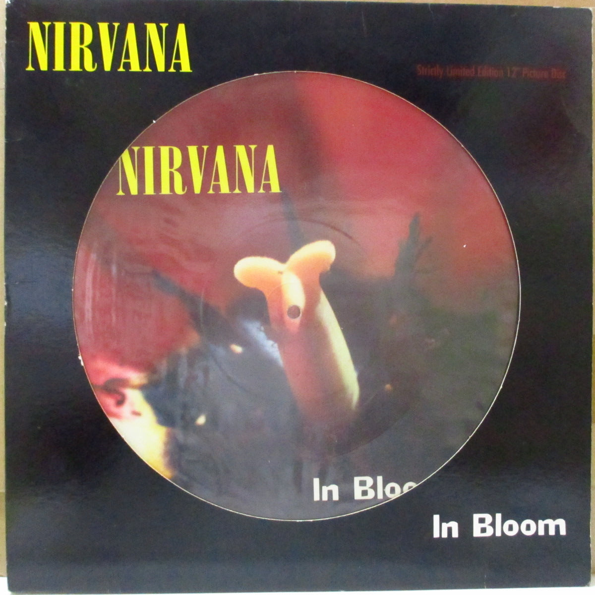 NIRVANA (ニルヴァーナ) - In Bloom +2 (UK 限定ピクチャー 12"/片面ダイカット光沢ジャケ)