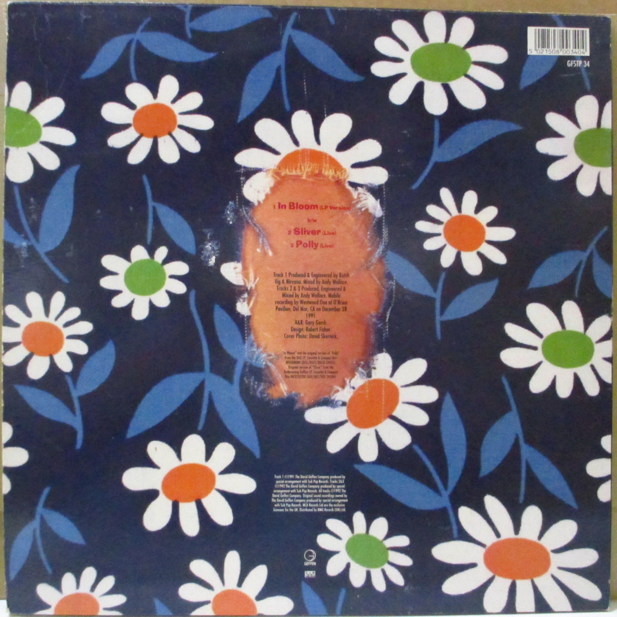 NIRVANA (ニルヴァーナ) - In Bloom +2 (UK 限定ピクチャー 12"/片面ダイカット光沢ジャケ)