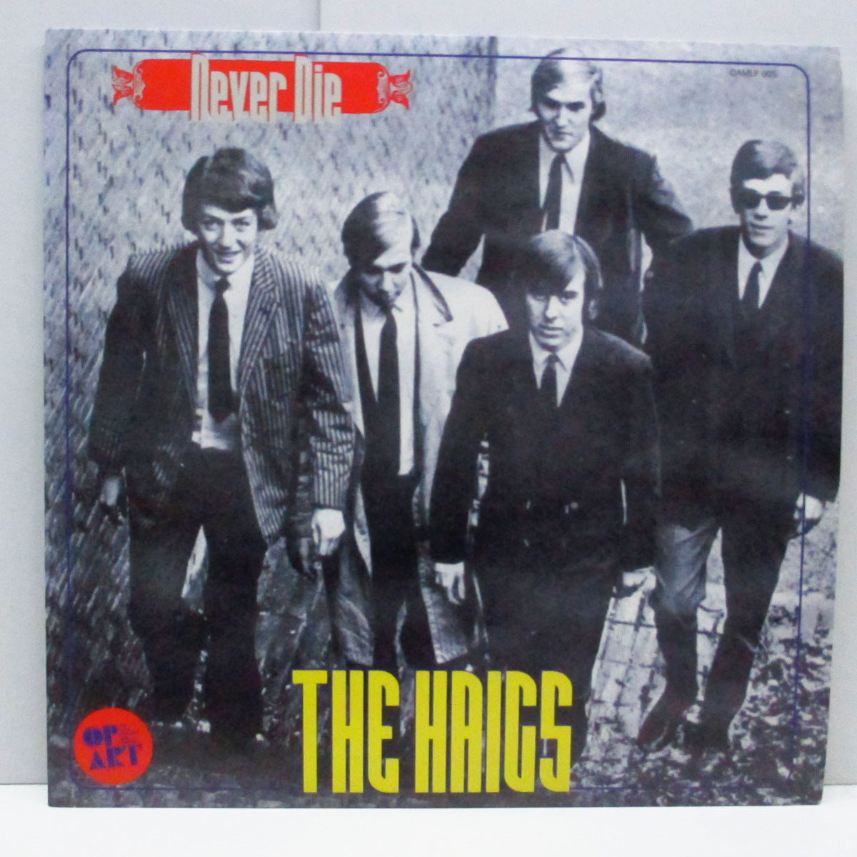 HAIGS, THE (ザ・ハイグス) - Never Die (Dutch Orig.Mono 10