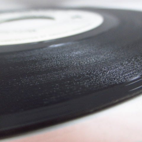 RICK LANCELOT with THE 7 KNIGHTS (リック・ランセロット) - Live Like A Lion (Promo )