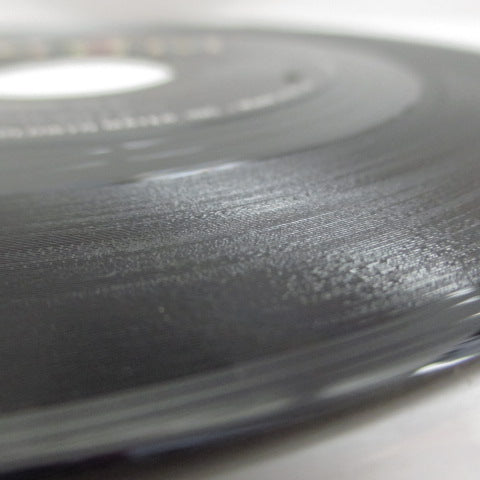 COWSILLS (カウシルズ) - We Can Fly (Orig.)