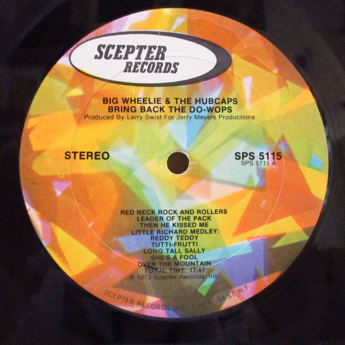 BIG WHEELIE & THE HUBCAPS (ビッグ・ウィリー&ハブキャップス) - Bring Back The Doo-Wops! (US Orig.LP)
