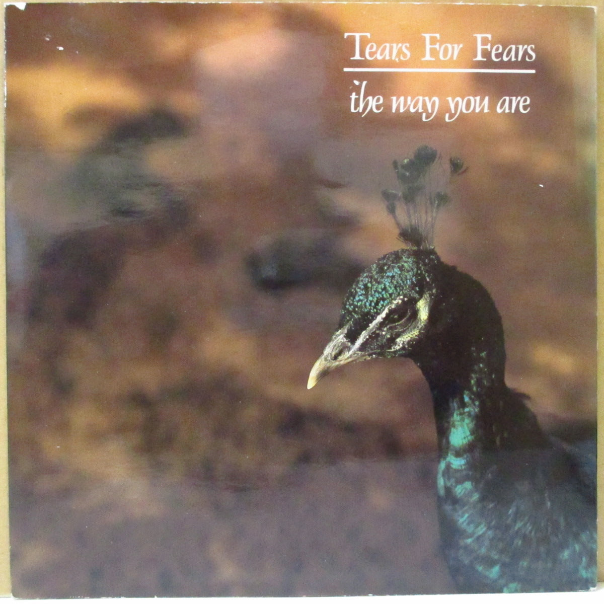 TEARS FOR FEARS (ティアーズ・フォー・フィアーズ) - The Way You Are (UK オリジナル「ペーパーラベ」 7"+PS)