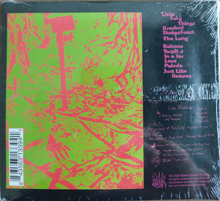 DINOSAUR Jr. (ダイナソーJr) - You're Living All Over Me (US 限定復刻再発 CD/NEW)