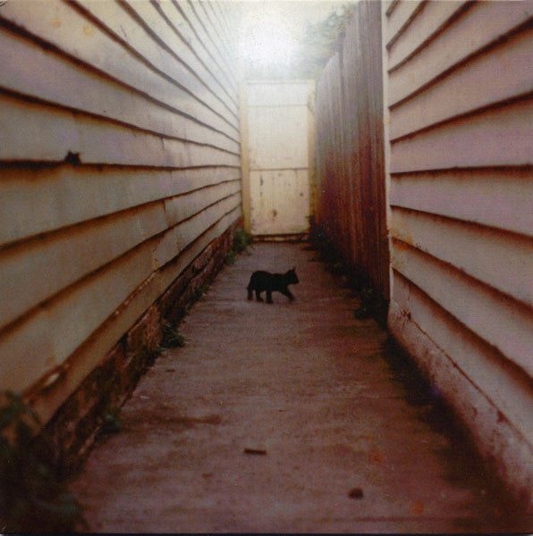 TREN BROTHERS (トレン・ブラザーズ) - Swing Ptd. 1 & 2 (OZ Limited 7"/廃盤 NEW)