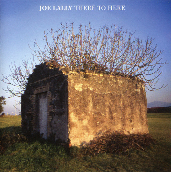 JOE LALLY (ジョー・ラリー) - There To Here (US Limited CD/NEW)