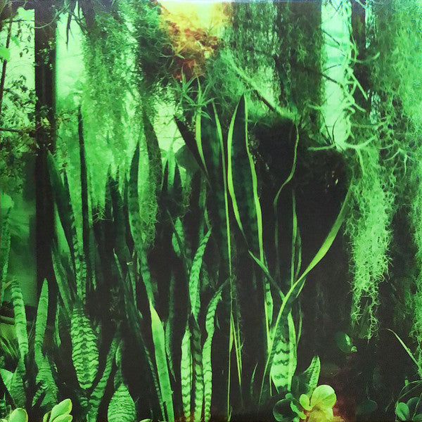 PROMISE RING, THE (プロミス・リング) - Wood/Water (US Ltd.Reissue LP/NEW)