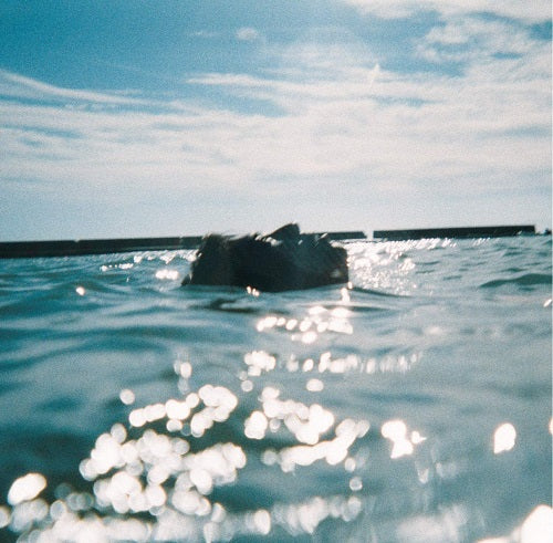 THE GUAYS (ザ・グアイズ) - あきらめることをあきらめたんだ (Japan 限定リリース LP/NEW) '20年3rdアルバム