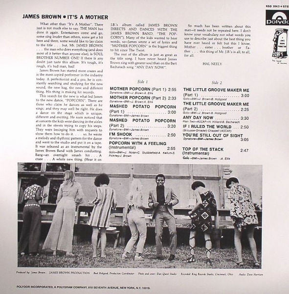 JAMES BROWN (ジェームス・ブラウン) - It’s A Mother (US Ltd.Reissue LP/New)