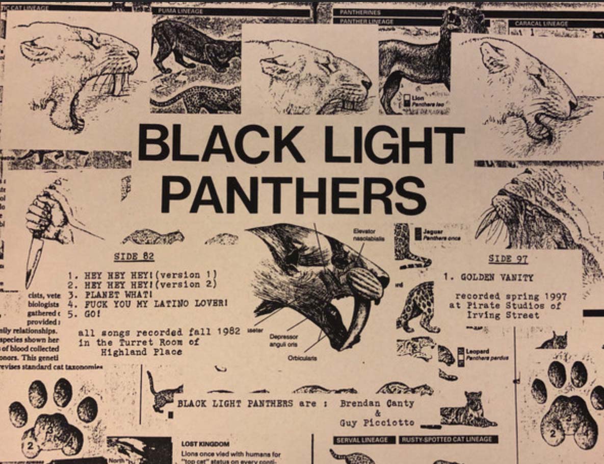 BLACK LIGHT PANTHERS (ブラック・ライト・パンサーズ) - 1982-1997 (US 1,150 Ltd. 12" 「廃盤 New」 )