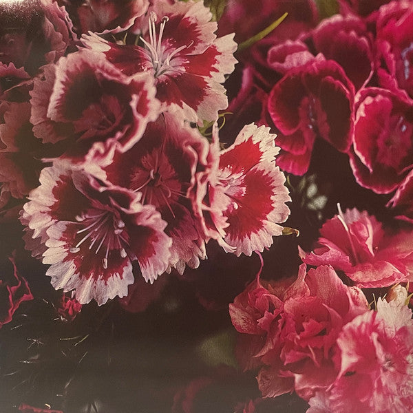 BIFF BANG POW! (ビフ・バン・パウ!) - The Girl Who Runs The Beat Hotel (UK 限定復刻再発「ピンク・ヴァイナル」 LP/廃盤 NEW)