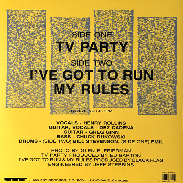 BLACK FLAG (ブラック・フラッグ) - TV Party (US 限定再発 12"/ New)