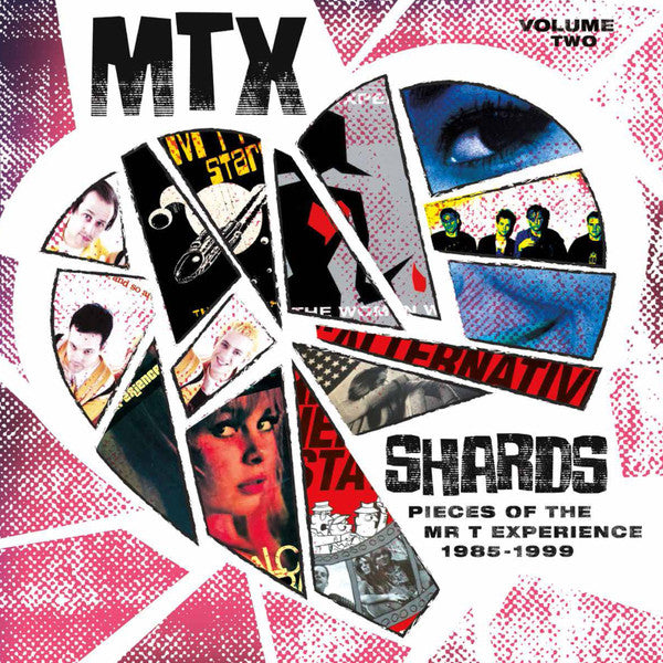 MR. T EXPERIENCE, THE (ザ・ミスター・ティー・エクスペリエンス) - Shards Vol. 2 (US Ltd. 180g Color Vinyl LP/ New)