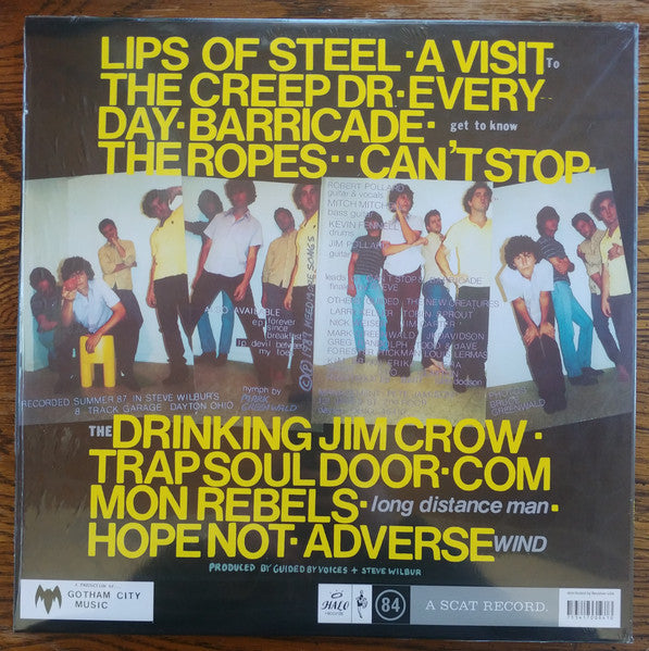 GUIDED BY VOICES (ガイデッド・バイ・ヴォイセズ) - Sandbox (US 限定復刻再発ブラックヴァイナル LP/NEW)