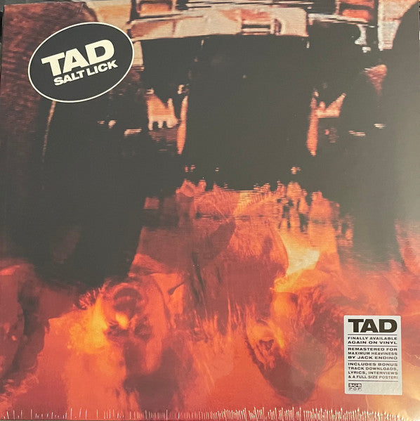 TAD (タッド) - Salt Lick (US 限定復刻リマスター再発 12"/NEW)
