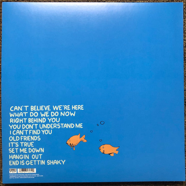 J MASCIS (J・マスキス) - What Do We Do Now (US 限定リリース LP/NEW)