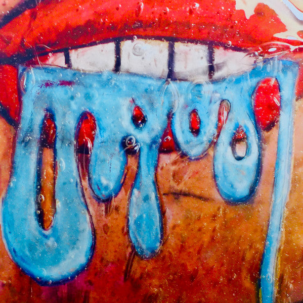 PART CHIMP (パート・チンプ) - Drool (UK/US 限定リリース LP/NEW)