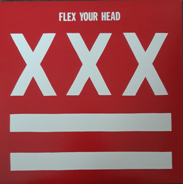 激レア2000枚限定 / V.A. / Flex Your Head / LP 専門 店 クロノス 