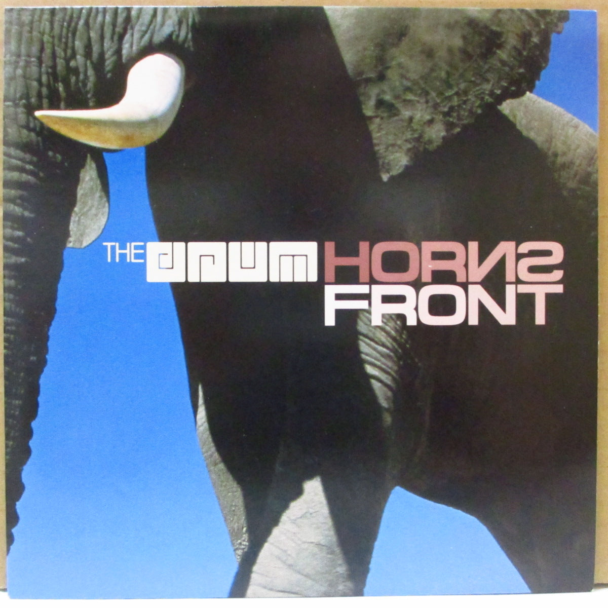 DRUM, THE (CHINA DRUM) (ザ・ドラム (チャイナ・ドラム))  - Horns Front (UK オリジナル 7インチ+光沢固紙ジャケ)