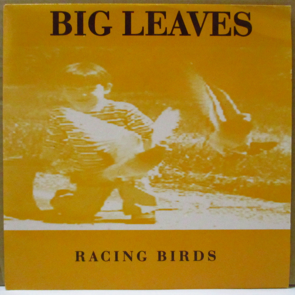 BIG LEAVES (ビッグ・リーヴス)  - Racing Birds (UK オリジナル 7インチ+光沢固紙ジャケ)