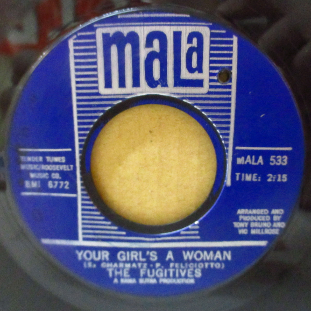 FUGITIVES, THE (ザ・フジティブス)  - Your Girl's A Woman (US '66 オリジナル 7インチ) サンシャイン・ポップ! 