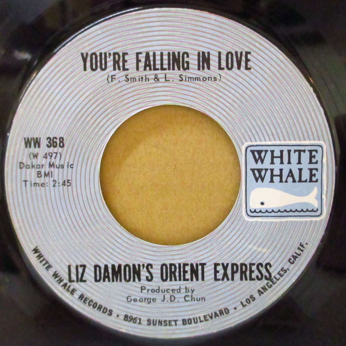 LIZ DAMON'S ORIENTAL EXPRESS (リズ・デーモンズ・オリエンタル・エクスプレス)  - You're Falling In Love (US '70 White Whale社再発 7インチ) JET SETサバービア+サンシャインポップ）