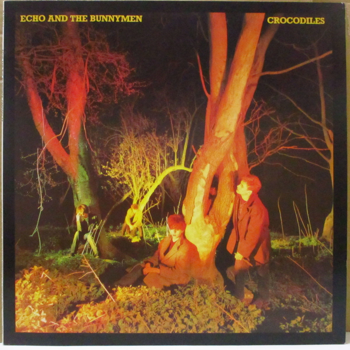 ECHO & THE BUNNYMEN (エコー＆ザ・バニーメン)  - Crocodiles (Japan オリジナル・ホワイトラベ LP+ソフト紙インサート/帯欠) '80年1stアルバム