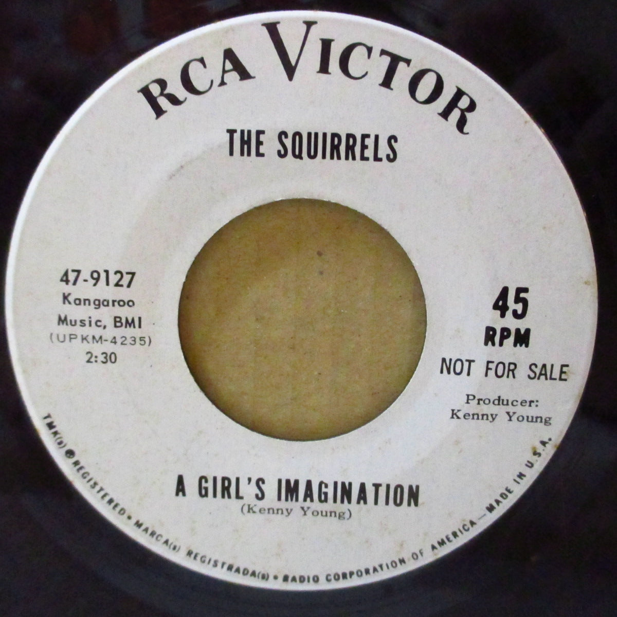 SQUIRRELS, THE (ザ・スクワーレルズ )  - A Girl's Imagination (US '67 プロモ・白ラベ7インチ)ブリル・ビルディング天才作曲家ケニー・ヤングの覆面バンドのサンシャイン・ポップ！