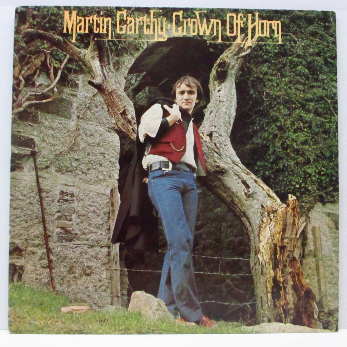 MARTIN CARTHY (マーティン・カーシー)  - Crown Of Horn (UK オリジナル LP) '76年9th ソロアルバム！