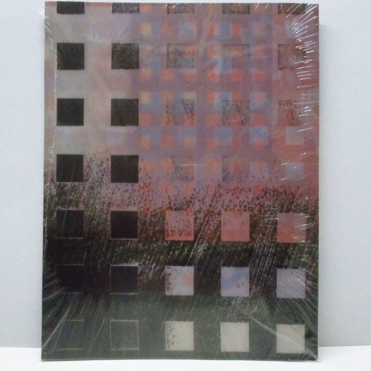 ポール・マッカートニー LP11枚セット+ワールドツアー冊子2 ポール