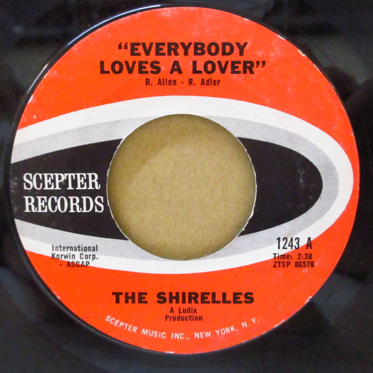 SHIRELLES (ザ・シュレルズ)  - Everybody Loves A Lover (US '62 オリジナル「黒文字印刷ラベ ver」7インチ)ティーンポップ＋ノーザン！