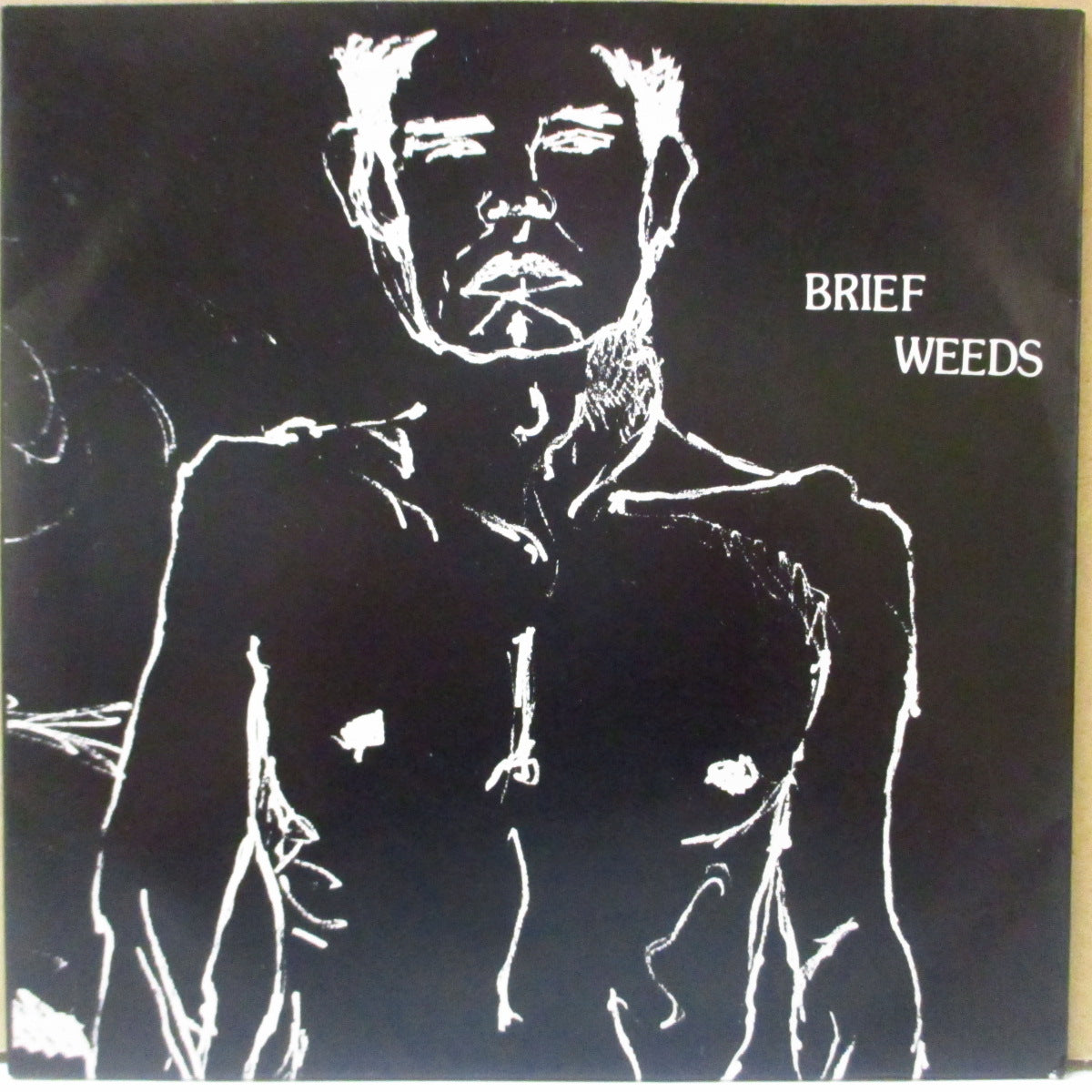 BRIEF WEEDS (ブリーフ・ウィーズ =フガジの2人在籍)  - A Very Generous Portrait (US オリジナル 7インチ+光沢固紙ジャケ) '91年EP