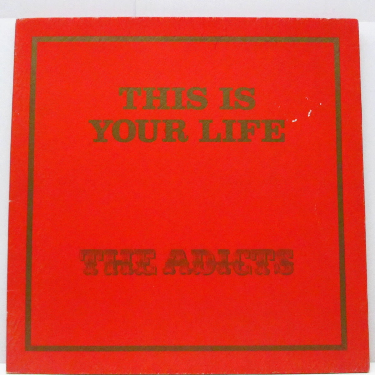 ADICTS, THE (ジ・アディクツ)  - This Is Your Life (UK オリジナル LP/レザー風見開ジャケ) 初期レアトラック・コンピ！