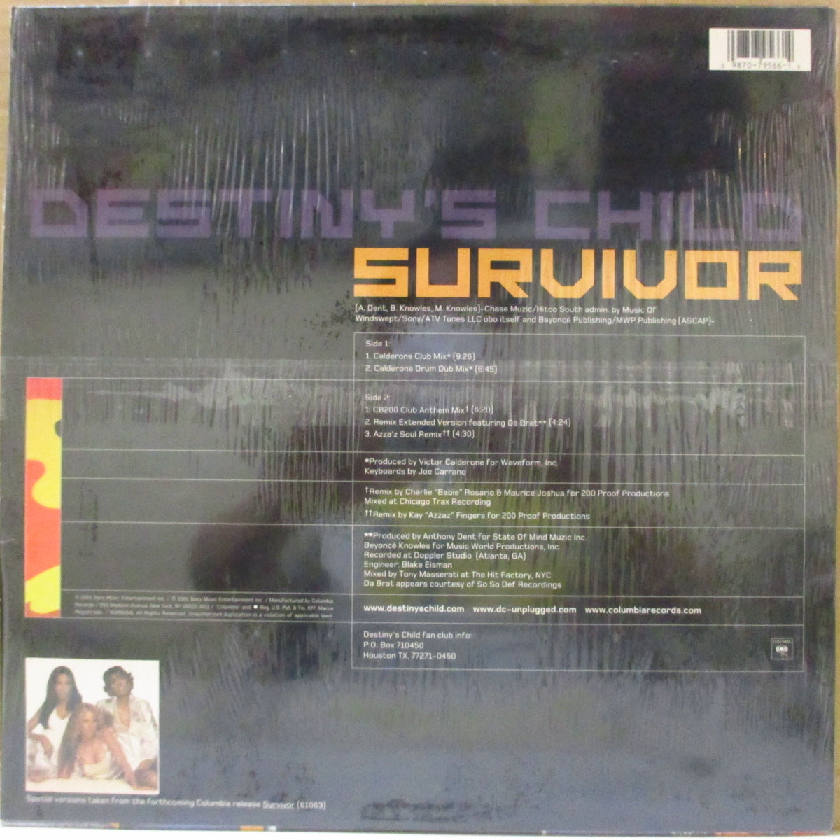 DESTINY'S CHILD (デスティニーズ・チャイルド)  - Survivor - Dance Mixes (US '01 オリジナル5バージョン収録33回転 12インチ)