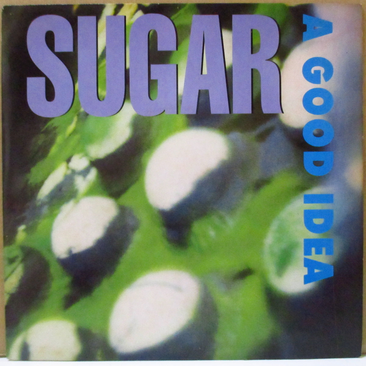 SUGAR (シュガー)  - A Good Idea (UK オリジナル 7インチ+光沢固紙ジャケ)