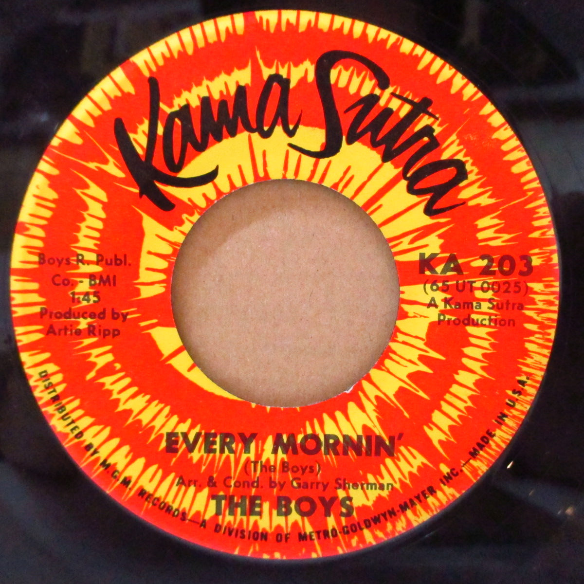 BOYS, THE  (ザ・ボーイズ)  - Splendor In The Grass (US '65 初回「黒ロゴ」オリジナル 7インチ) ジャッキー・ディシャノン作美メロ・フォークPOP！