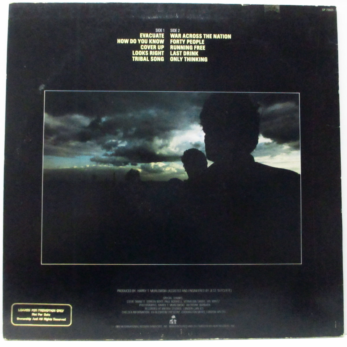 CHELSEA (チェルシー)  - Evacuate (US オリジナル LP/プロモ印有ジャケ)