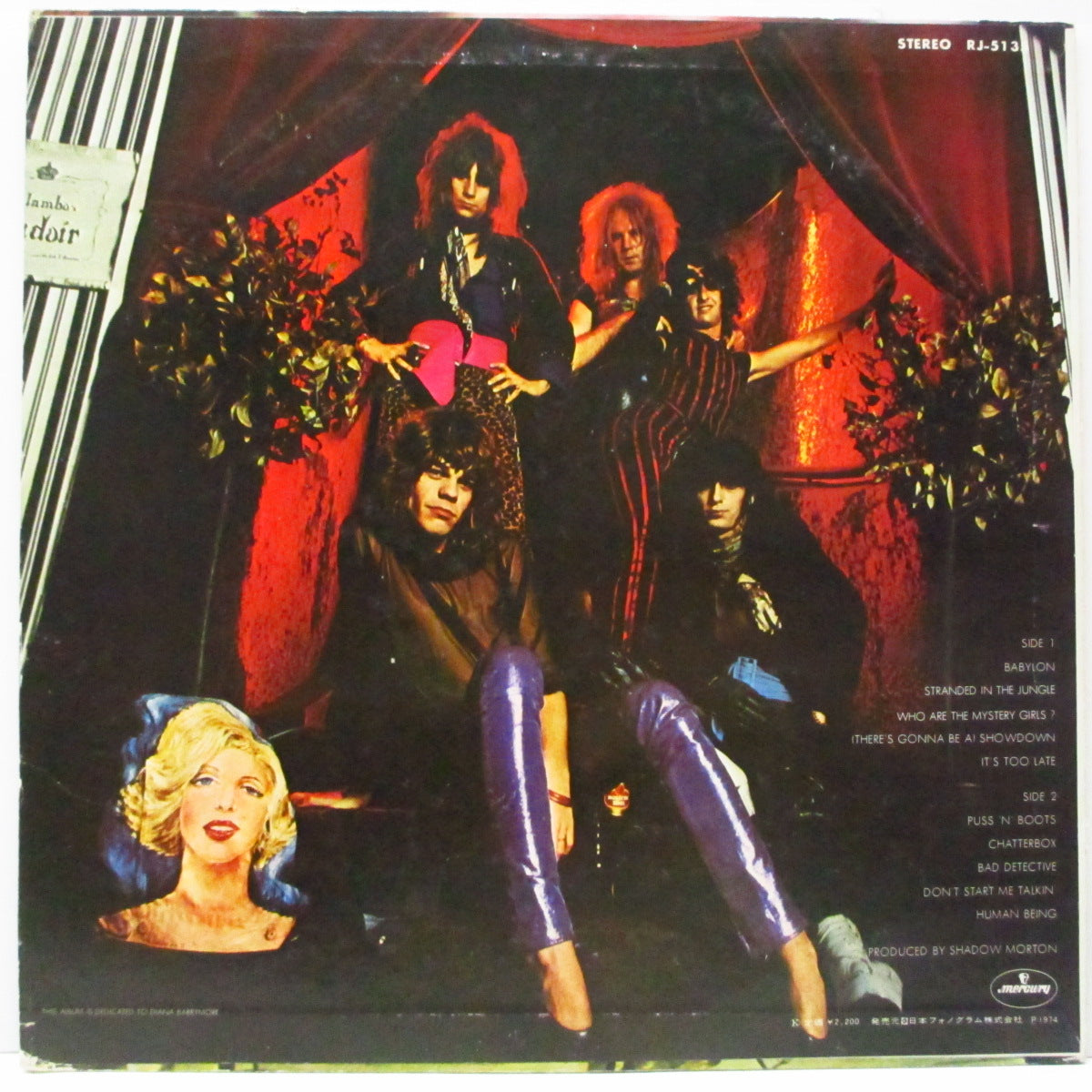 NEW YORK DOLLS (ニュー・ヨーク・ドールズ)  - 悪徳のジャングル - In Too Much Too Soon (Japan オリジナル LP/帯欠）