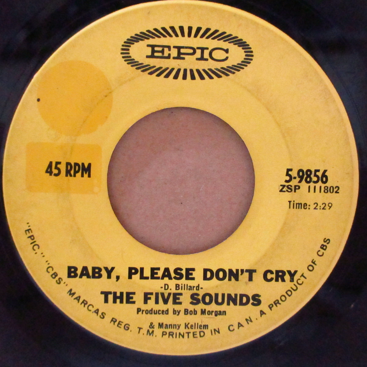 FIVE SOUNDS, THE (ザ・ファイブ・サウンズ)  - Loadin' Coal / Baby, Please Don't Cry (US '65 オリジナル 7インチ)MOD-R&Bガレージ！