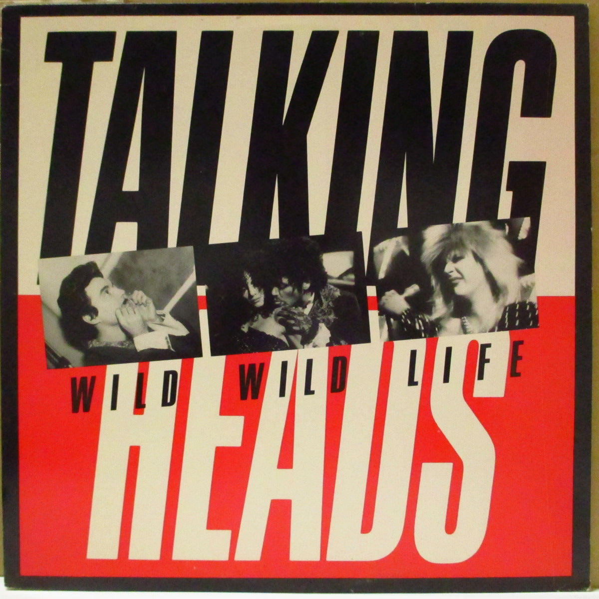 TALKING HEADS (トーキング・ヘッズ)  - Wild Wild Life (US '86 プロモ33回転 12インチ/特別デザイン光沢ジャケ)