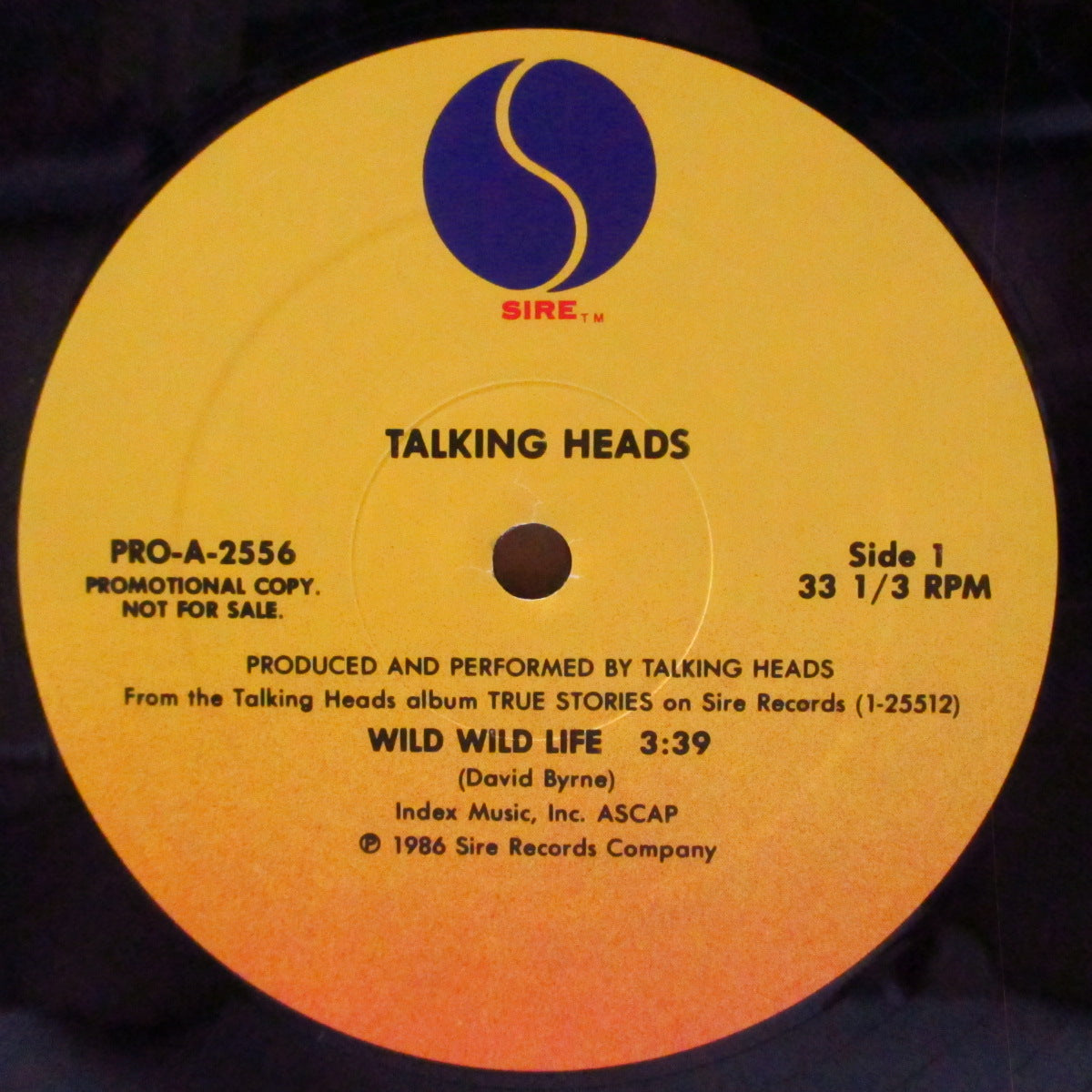 TALKING HEADS (トーキング・ヘッズ)  - Wild Wild Life (US '86 プロモ33回転 12インチ/特別デザイン光沢ジャケ)