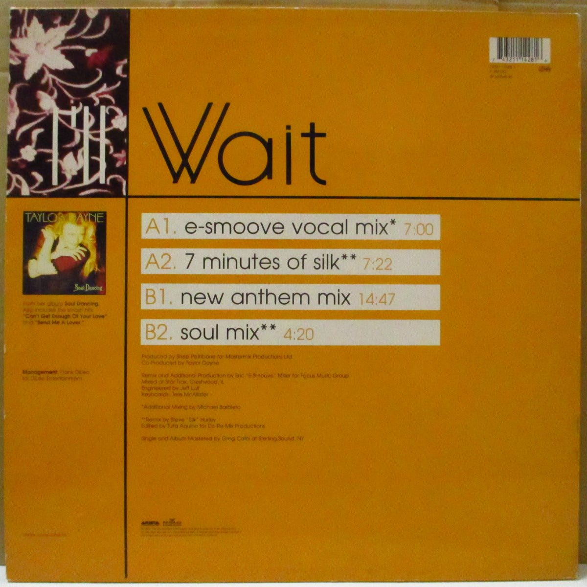 TAYLOR DAYNE (テイラー・デイン)  - I'll Wait (Dutch '94 オリジナル 4バージョン収録 12インチ)