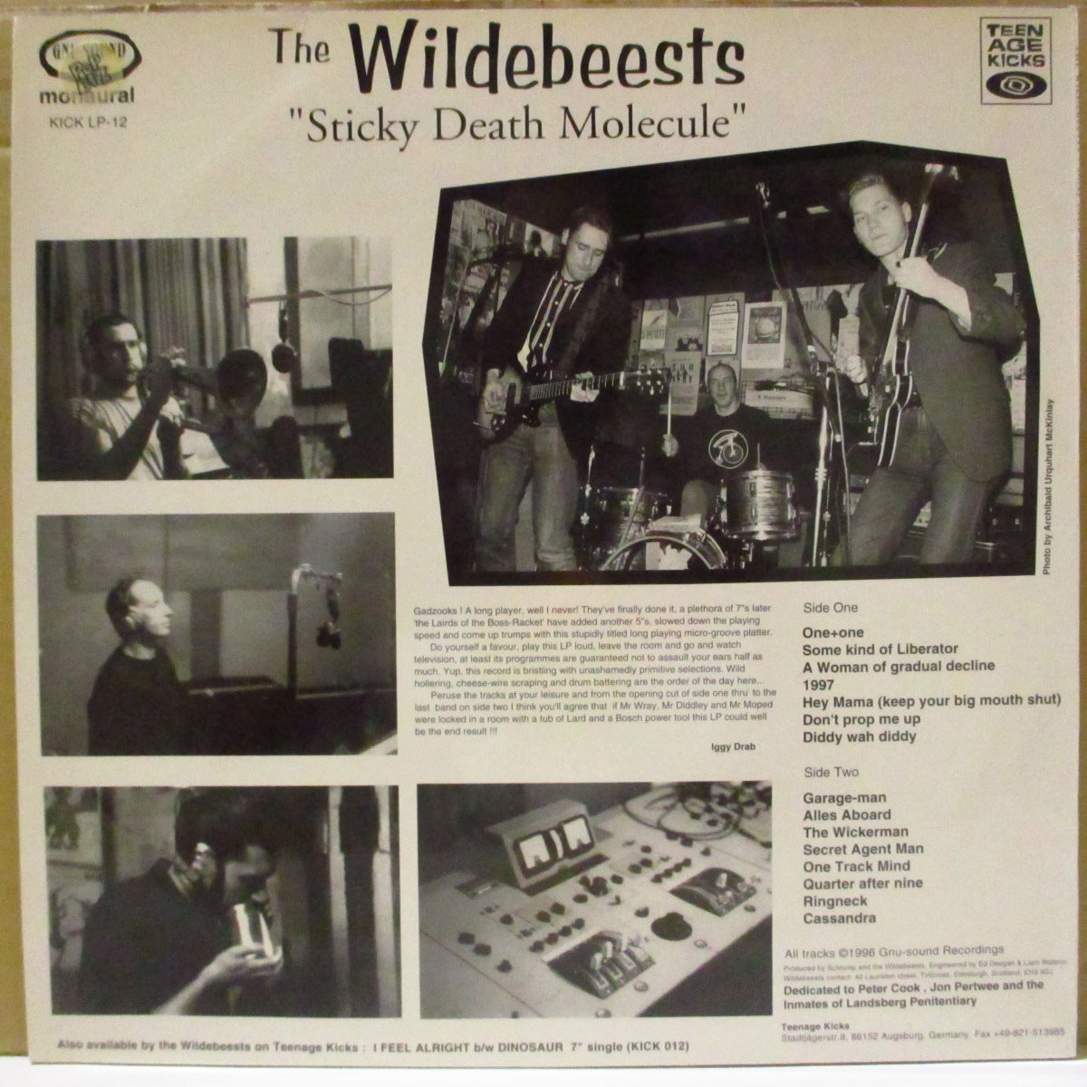 WILDEBEESTS, THE (ザ・ワイルドビースツ)  - Sticky Death Molecule (German オリジナル・モノラル LP) '96年1stアルバム