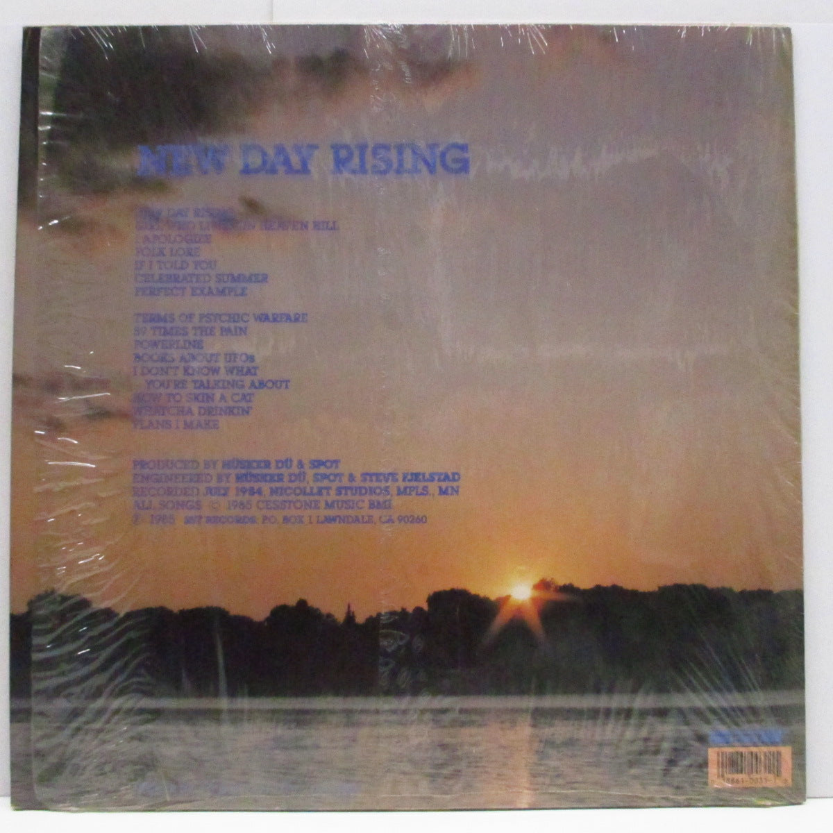 HUSKER DU (ハスカー・ドゥ) - New Day Rising (US '90 再発「黒盤」LP