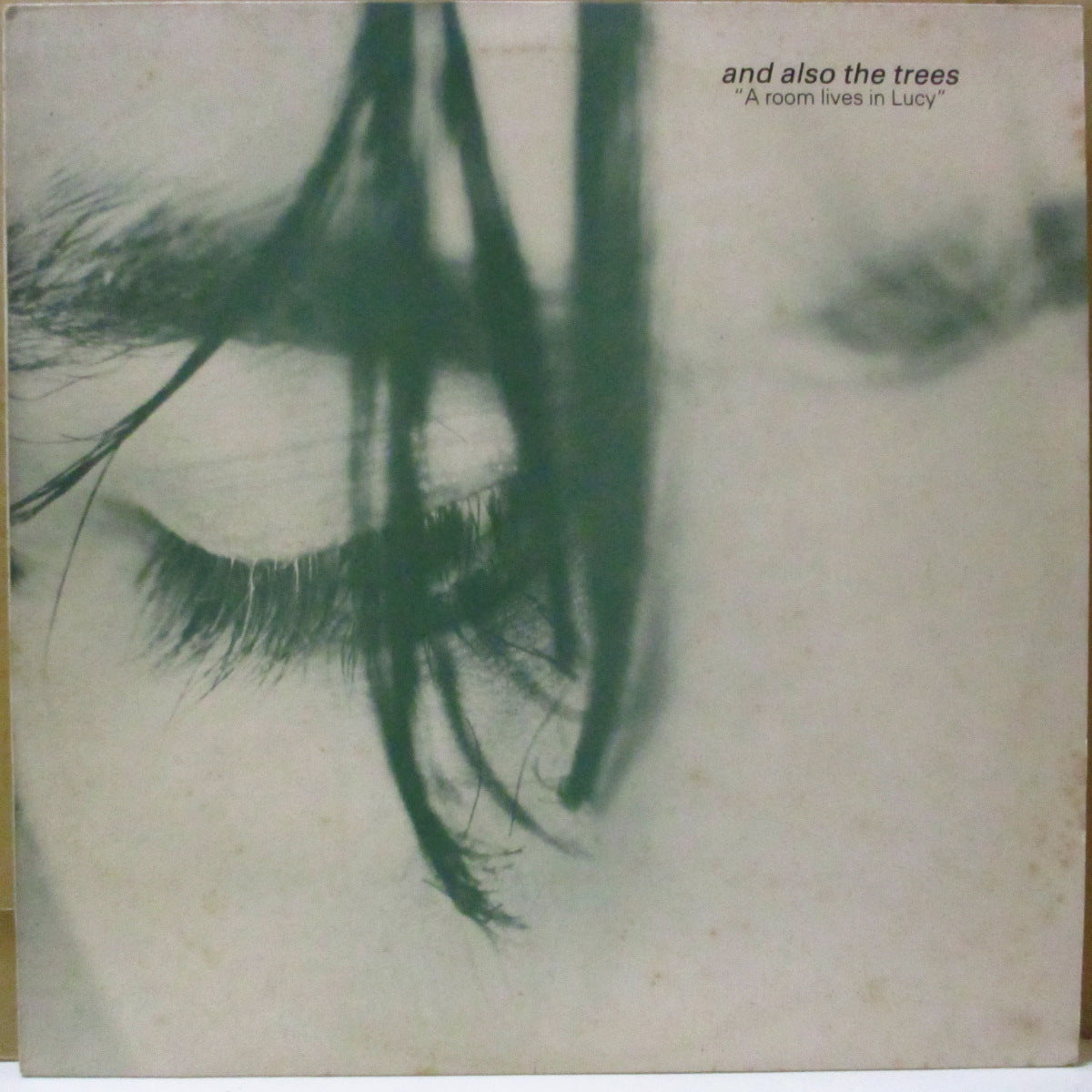 AND ALSO THE TREES (アンド・オールソー・ザ・トゥリーズ)  - A Room Lives In Lucy (UK オリジナル3曲入り 12インチ) '85年シングル